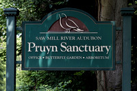 190725_5796_EOS M5 Pruyn Sanctuary in Chappaqua NY