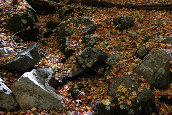 161015_2488_NX1 A Dry Stream Bed in Autumn at Teatown