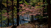 161023_2547_NX1 Vernay Lake in Autumn at Teatown