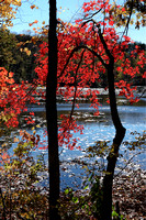 161031_2557_NX1 The Colors of Autumn on Teatown Lake
