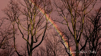 160110_1085_NX1 After the Storm
