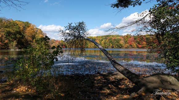 161019_2506_NX1 Teatown Lake in Autumn