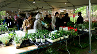 170512_3062_NX1 The Annuals Tent at Teatown's 2017 PlantFest
