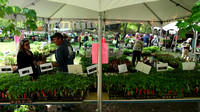 170512_3059_NX1 Teatown Volunteer Rudy Fasciani gives Vegetable Garden Advice at the 2017 PlantFest