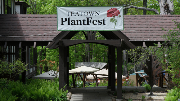 170512_3007_NX1 Welcome to Teatown's PlantFest on May 12, 2017