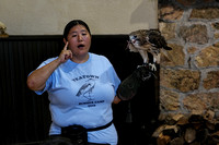 160904_2273_NX1 Teatown Environmental Educator Elissa Schilmeister with Blaze, a Female Redtail Hawk Eating Lunch on National Wildlife Day
