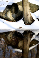 170214_0309_EOS M5 Winter on Swan Lake at Rockefeller Preserve
