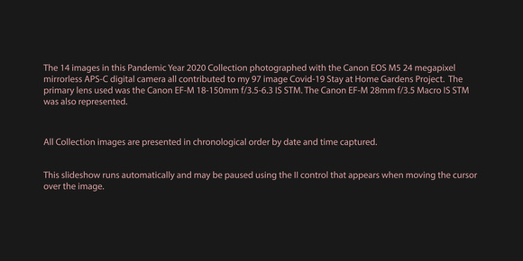200101 Canon EOS M5 2020