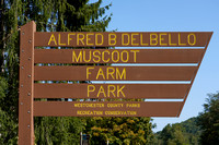 200923_02988_A7RIV Welcome to Muscoot Farm