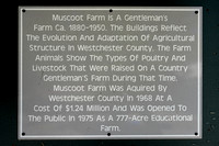 200923_02990_A7RIV Welcome to Muscoot Farm