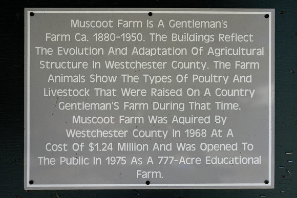 200923_02990_A7RIV Welcome to Muscoot Farm