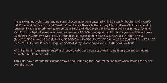 211222 Canon FD SSC Lenses on Sony A7R IV
