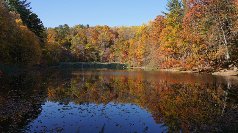 Edward Michael Lach | Exploring the Trails of Westmoreland Sanctuary ...