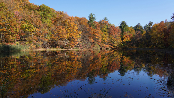 241022_10686_A7RIV Bechtel Lake in Autumn 2024 at Westmoreland Sanctuary