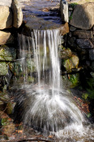 220321_06252_A7RIV A Small Waterfall Feeds Rockefeller Preserve's Swan Lake